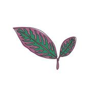 Eine durchgehende Strichzeichnung von süßen tropischen Blättern der Aglaonema-Pflanze. Druckbares dekoratives Zimmerpflanzenkonzept für die Dekoration von Wohnwänden. moderne einzeilig zeichnende Design-Grafik-Vektor-Illustration vektor