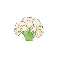 en enda linjeritning av hel hälsosam ekologisk blomkål för gårdslogotyp. färsk brassica oleracea koncept för grönsaksikon. modern kontinuerlig linje rita design vektorgrafisk illustration vektor
