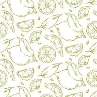 citron- sömlös mönster freehand grön kontur element på vit bakgrund. sommar färsk frukt vektor grafisk design för meny, paket, kök textil, bakgrundsbilder.