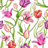 nahtlos bunt Frühling Muster mit Tulpen. Aquarell Blumen- Tulpe Hintergrund. vektor