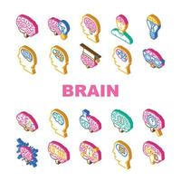 Gehirn Verstand Mensch Kopf Symbole einstellen Vektor