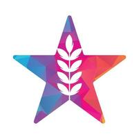 Weizen Korn Star gestalten Vektor Logo Design.
