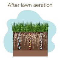gräsmatta vård - luftning och markifiering. etiketter förbi etapp efter. intag av ämnen-vatten, syre, och näringsämnen till utfodra de gräs och jord. vektor platt illustration isolerat