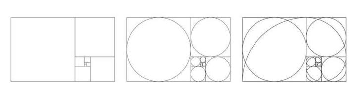 gyllene förhållande mall. metod gyllene sektion. Fibonacci array, tal. harmoni proportioner. vektor