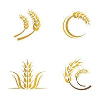 Weizen Logo Bilder gesetzt vektor