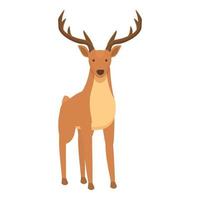 förtjusande rådjur ikon tecknad serie vektor. skog djur- vektor