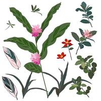 uppsättning av vacker tropisk blomma och blad vektor