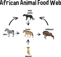 afrikanisches Tiernahrungsnetz für Bildung vektor