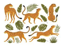 Vektorsatz von Leoparden oder Geparden und tropischen Blättern. trendige Illustration. vektor