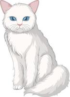 niedliche weiße Katze, die allein lokalisiert auf weißem Hintergrund sitzt vektor