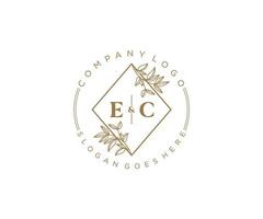 första ec brev skön blommig feminin redigerbar förhandsgjord monoline logotyp lämplig för spa salong hud hår skönhet boutique och kosmetisk företag. vektor