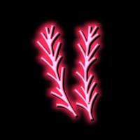 Rosmarin würzen Aromatherapie Neon- glühen Symbol Illustration vektor