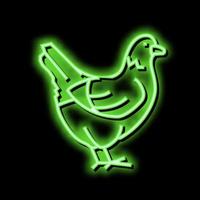 Hähnchen inländisch Vogel Neon- glühen Symbol Illustration vektor