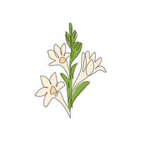 enda en rad ritning av skönhet färsk agave amica för trädgård logotyp. dekorativa tuberos blomma koncept för hem konst vägg dekor affischtryck. modern kontinuerlig linje rita design vektorillustration vektor