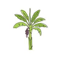 eine einzige Linie, die fruchtbaren und frischen Bananenbaum zeichnet. dekorative Bananenpflanze für Plantagenunternehmen. Landwirtschaft Anbaukonzept. moderne durchgehende Linie zeichnen Design-Grafik-Vektor-Illustration vektor