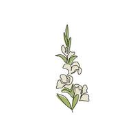 en enda linjeteckning av skönhet färsk gladiolus för hem väggkonst dekor. utskrivbar affisch dekorativt svärd gladius blomma koncept. modern kontinuerlig linje rita design vektorgrafisk illustration vektor