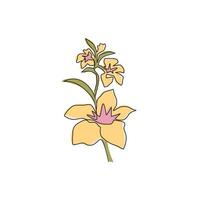 enda kontinuerlig linjeteckning av skönhet färsk orkidé för vägg heminredning konst. utskrivbar dekorativ affisch orchidaceae blomma ogräsrensning inbjudningskort. moderna en rad rita design vektorillustration vektor