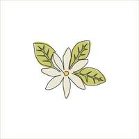 Eine einzige Strichzeichnung der Schönheit frischer Laubjasminblume für das Logo des Teegetränks. Druckbares dekoratives Jasminum für das Wanddekor-Poster zu Hause. moderne durchgehende Linie zeichnen Design-Vektor-Illustration vektor