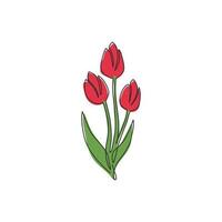 einzelne durchgehende Linienzeichnung der Schönheit frischer Tulpe für die Identität des Gartenlogos. dekoratives niederländisches Nationalitätsblumenkonzept für Modetextilien. moderne eine linie zeichnen design-vektorillustration vektor