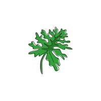 einzelne durchgehende Linie, die tropische Blattpflanze zeichnet. Druckbares dekoratives Philodendron-Selloum-Zimmerpflanzenkonzept für die Dekoration von Wohnwänden. moderne eine linie zeichnen grafikdesign-vektorillustration vektor