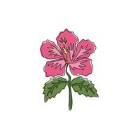 en enda linjeteckning av skönhet färsk hibiskus för trädgårdslogotyp. dekorativt ros malva blomma koncept för vägg heminredning affisch. modern kontinuerlig linje rita grafisk design vektorillustration vektor