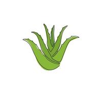 en enda linjeteckning av hälsosam ekologisk grön aloe vera för gårdslogotyp. färsk tropisk suckulent växt koncept för jordbruksikonen. modern kontinuerlig linje rita design vektorillustration vektor