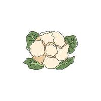 einzelne durchgehende Strichzeichnung des ganzen gesunden Bio-Blumenkohls für die Identität des Farmlogos. Frische Brassica Oleracea-Konzept für Gemüse-Symbol. moderne grafische vektorillustration des einlinienentwurfs vektor