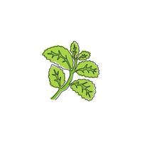 en kontinuerlig linjeritning av friska ekologiska myntablad för gårdens logotypidentitet. färsk mentha växt koncept för plantage ikon. moderna en rad rita design vektorgrafisk illustration vektor