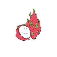 enda kontinuerlig linjeteckning av hel hälsosam organisk drakfrukt för fruktträdgårdslogotyp. färsk dragonfruit koncept för frukt trädgård ikon. moderna en rad rita design vektorgrafisk illustration vektor