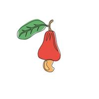 en kontinuerlig linjeritning hela hälsosamma ekologiska cashewäpple för fruktträdgårdslogotyp identitet. färskt brasiliansk caju-koncept för fruktträdgårdsikon. moderna en rad rita design vektorgrafisk illustration vektor