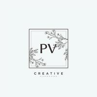 pv skönhet vektor första logotyp konst, handstil logotyp av första signatur, bröllop, mode, smycken, boutique, blommig och botanisk med kreativ mall för några företag eller företag.