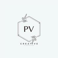 pv Schönheit Vektor Initiale Logo Kunst, Handschrift Logo von Initiale Unterschrift, Hochzeit, Mode, Schmuck, Boutique, Blumen- und botanisch mit kreativ Vorlage zum irgendein Unternehmen oder Geschäft.