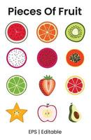 Stücke von Obst mit Wassermelone. orange, Kiwi, Erdbeere und Andere vektor
