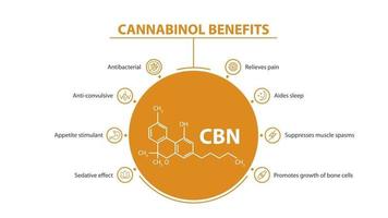 weiß und orange Informationsplakat von Cannabinol Vorteile mit Vorteilen mit Symbolen und Cannabinol chemische Formel vektor