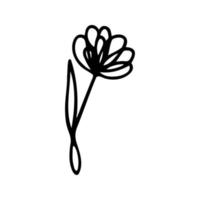 Hand gezeichnet Kräuter, Blumen- Clip Art. einer Linie Gekritzel Vektor