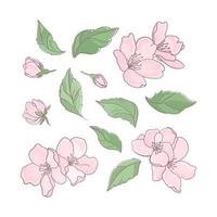 sakura rosa blommor dekoration klämma konst vektor illustration uppsättning