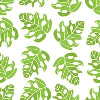 tropisch Monstera Blätter nahtlos Muster Vektor Illustration