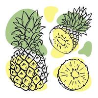 ananas utsökt frukt skiss vektor illustration uppsättning
