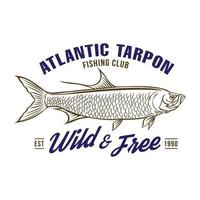 atlantisch Tarpon Fisch Vektor Illustration im Hand gezeichnet Stil, perfekt zum t Hemd Design und Angeln Verein Logo Design