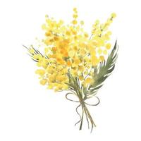 Mimose Gelb Frühling Blumen Satz, Aquarell Vektor Hand gezeichnet Illustration isoliert auf Weiß Hintergrund