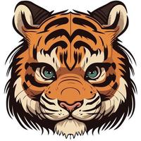 verbreitet Tiger katzenartig Säugetier Tier Gesicht vektor