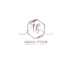 första brev tb feminin logotyp skönhet monogram och elegant logotyp design, handstil logotyp av första signatur, bröllop, mode, blommig och botanisk med kreativ mall vektor