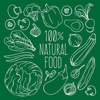 roh Essen Vegetarier Küche Speisekarte Vektor Illustration einstellen