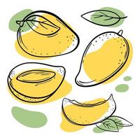 Gelb Mango köstlich Obst skizzieren Vektor Illustration einstellen