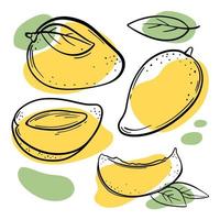 gul mango utsökt frukt skiss vektor illustration uppsättning