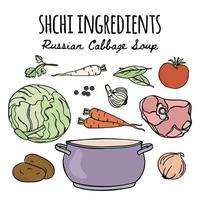 Schtschi Russisch Küche Speisekarte Suppe Rezept Vektor Illustration einstellen