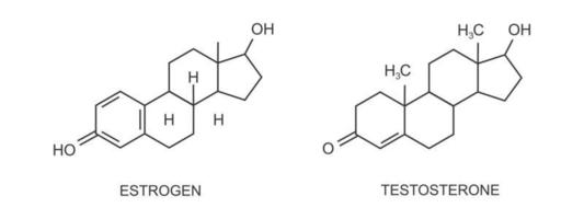 Östrogen und Progesteron Symbole. weiblich reproduktiv Sex Hormone chemisch molekular Struktur. Steroide von Menstruation- Zyklus, Pubertät, Eierstock und Schwangerschaft vektor