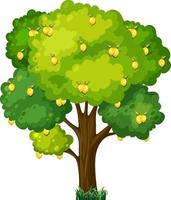Zitronenbaum im Karikaturstil lokalisiert auf weißem Hintergrund vektor