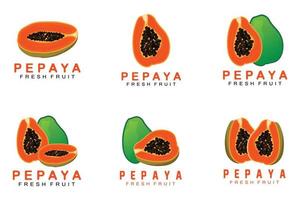 texturerad orange frukt design papaya logotyp, papaya träd varumärke produkt märka vektor, frukt marknadsföra vektor