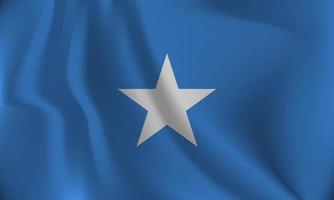 Flagge von Somalia, mit ein wellig bewirken fällig zu das Wind. vektor